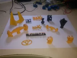 3D Printed Models 