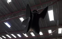 Air Special