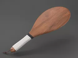 Beach Bat 3D model