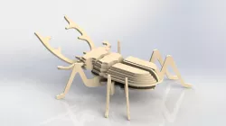 Beetle