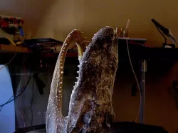 better aligator head