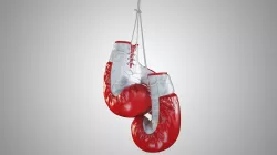 Boxing gloves 3D model