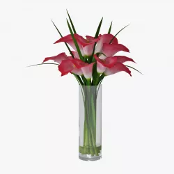Calla lily 05 3D model