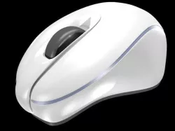 Computer mouse 3D model