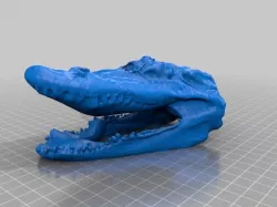 crocodile head