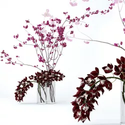 Cymbidium orchid and cherry branches 3D model