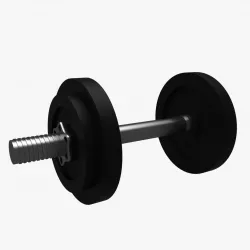 Dumbbell 3D model