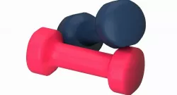 Dumbbell Gym   3D model