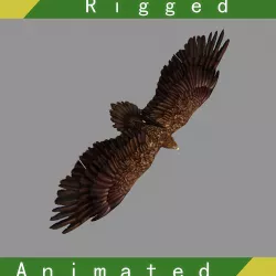 Eagle Rigged Animated Low-poly  3D model