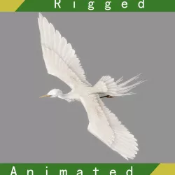 Egret Rigged Animated Low-poly  3D model