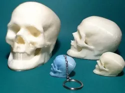 Elvis Skull Resurrected