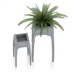 Fern in Metal Standing Pot 3D model