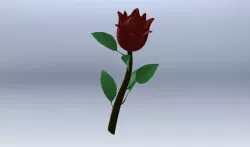 FLOR