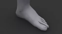 Foot 3D model