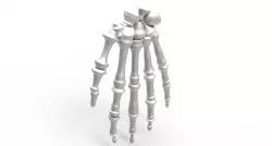 Human hand