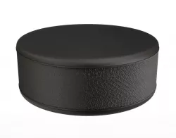 Ice Hockey Puck 3D model