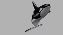 Killer Whale Animate and Rigged Low-poly  3D model