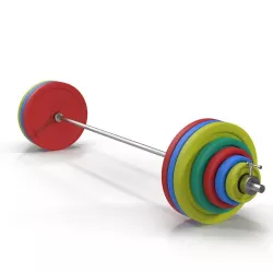 Olympic Barbell 3D model