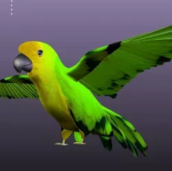 Parrot B Low-poly  3D model
