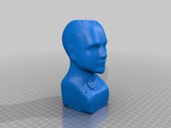 phrenology 3d models 【 STLFinder