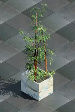 Revit tree 3D model
