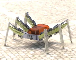 Spider