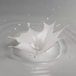 Splash 06 milk 3D model
