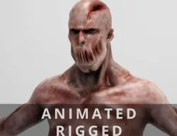 Walking Zombie Rigged  Animated Low-poly  3D model