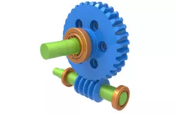 Worm Gear 