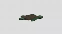 3D Turtle Model