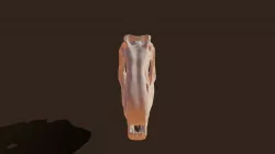 allosaurus