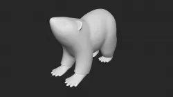 Bear Base Model