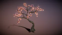 cherry blossom tree