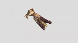 Corn