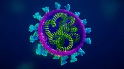 Coronavirus cross section