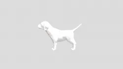 Dog By Emir Taha