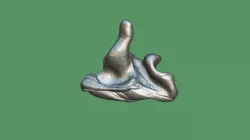 ear canal impression