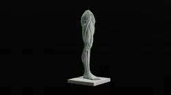 Ecorche Leg