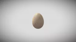 egg
