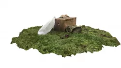 ferreting