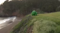 Froggle
