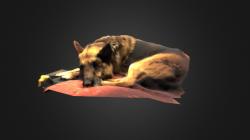 hailey knight massage 3D Models | Page 1 | STLFinder