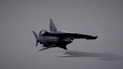 Hammerhead shark