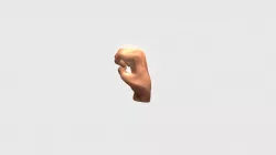 Hand-rigged