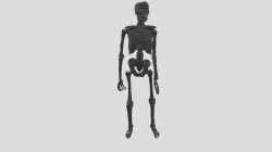 Hansel & Gretel - Skeleton Prop Scan