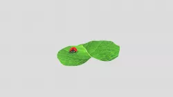 Ladybug 3D Model