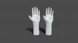 LOW POLY & HIGH POLY HAND