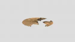 M2020 Landing Site