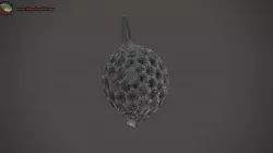 Microfossil - Amphisphaera coronate