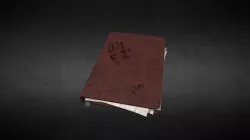 Old Diary
